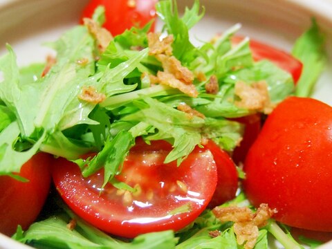 水菜とトマトのオニオンガーリックサラダ